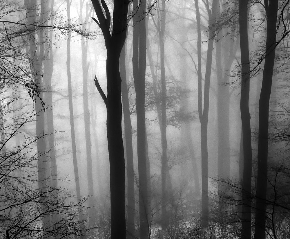 Photograph by Milan Uhrin