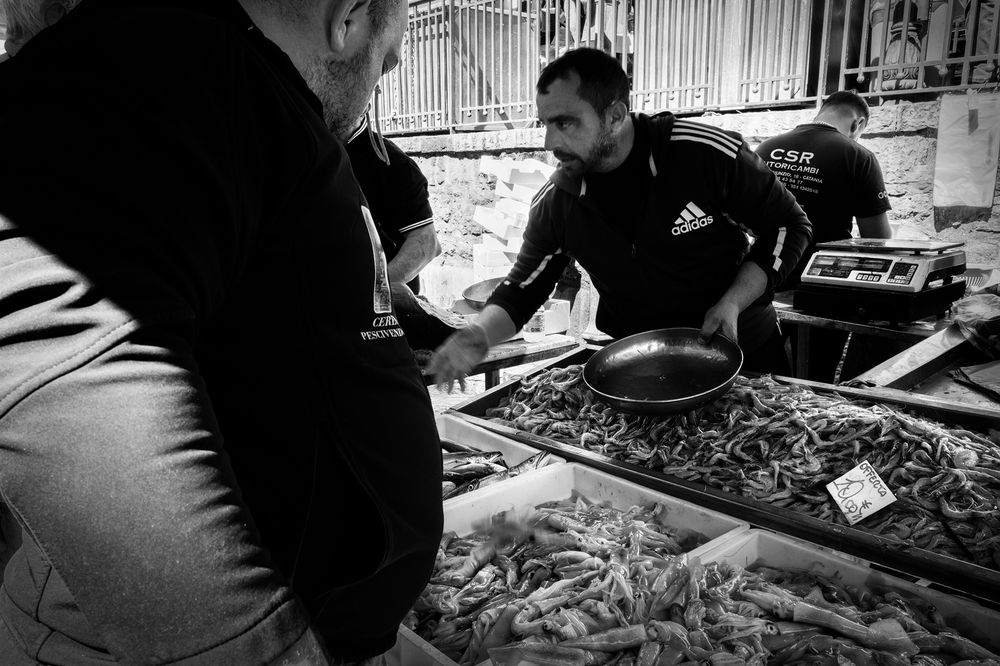 Photograph by ANDREA NIGRA