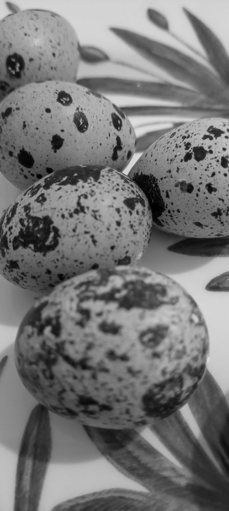 Фотография автора Евгения Кириллова