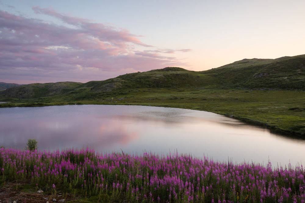 Photograph by Мария Казакова