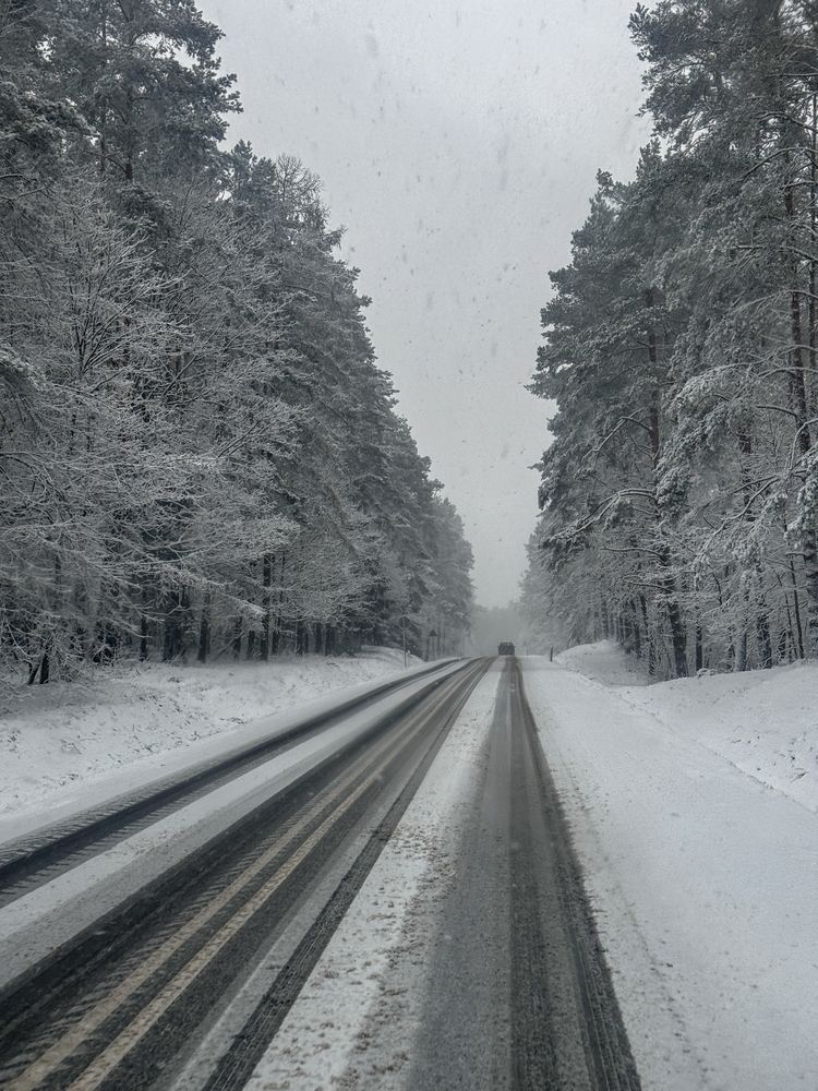 Фотография автора Sheikh Masud