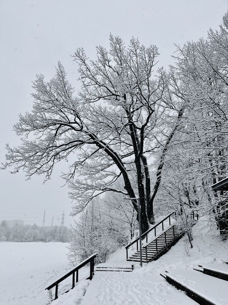 Photograph by Svet