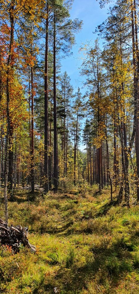 Photograph by Надежда Кудрявцева