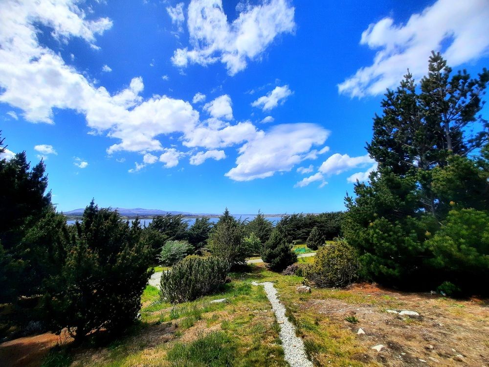 Фотография автора Hannah Leo