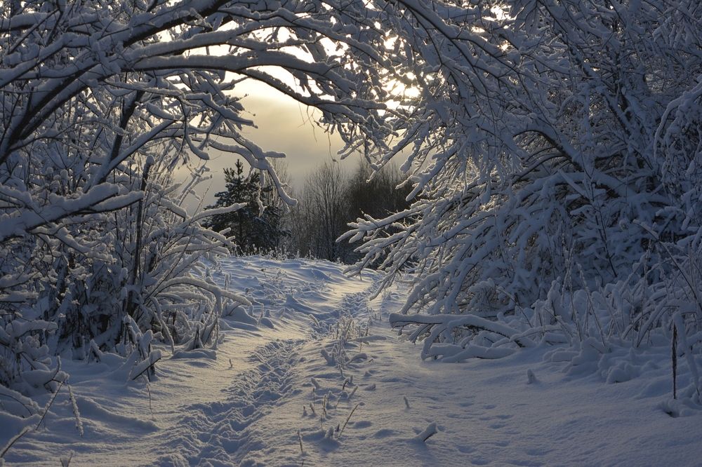 Photograph by Галина Катанова