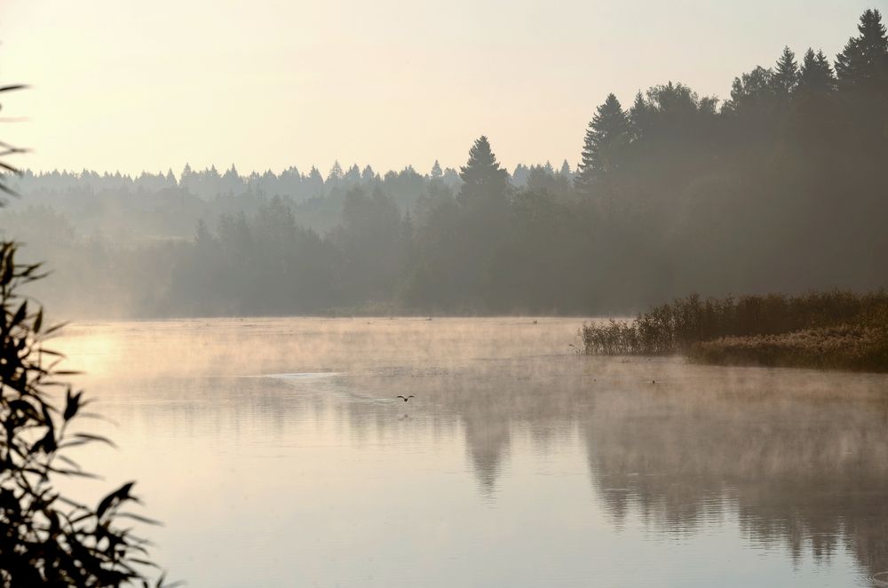 Photograph by Михаил Косолапов