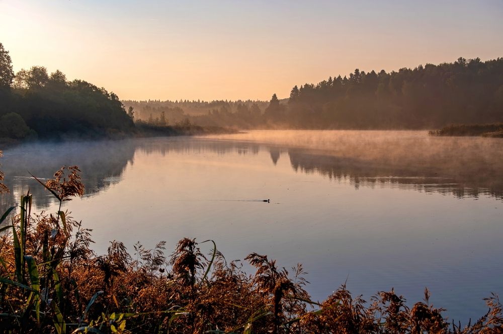 Photograph by Михаил Косолапов