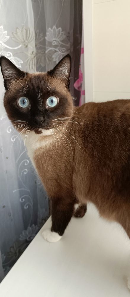 Осколки неба