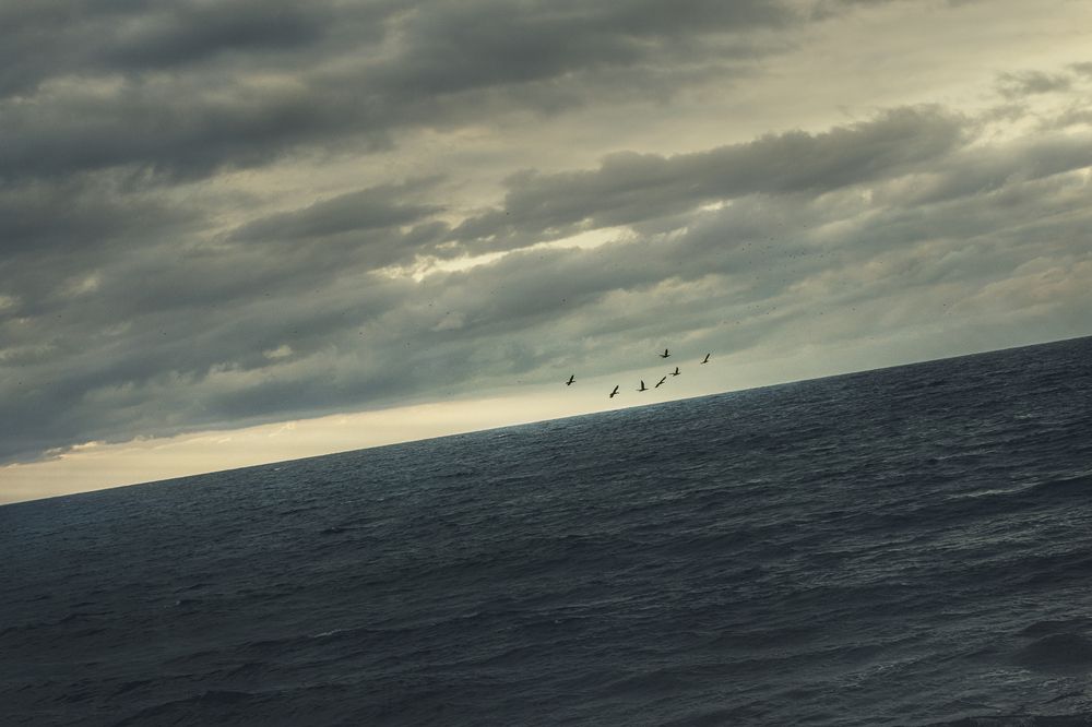 Photograph by Моторина Арина