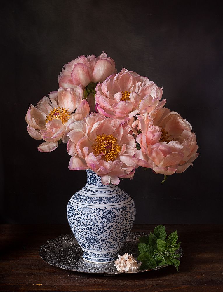 Фотография автора Алина Ланкина