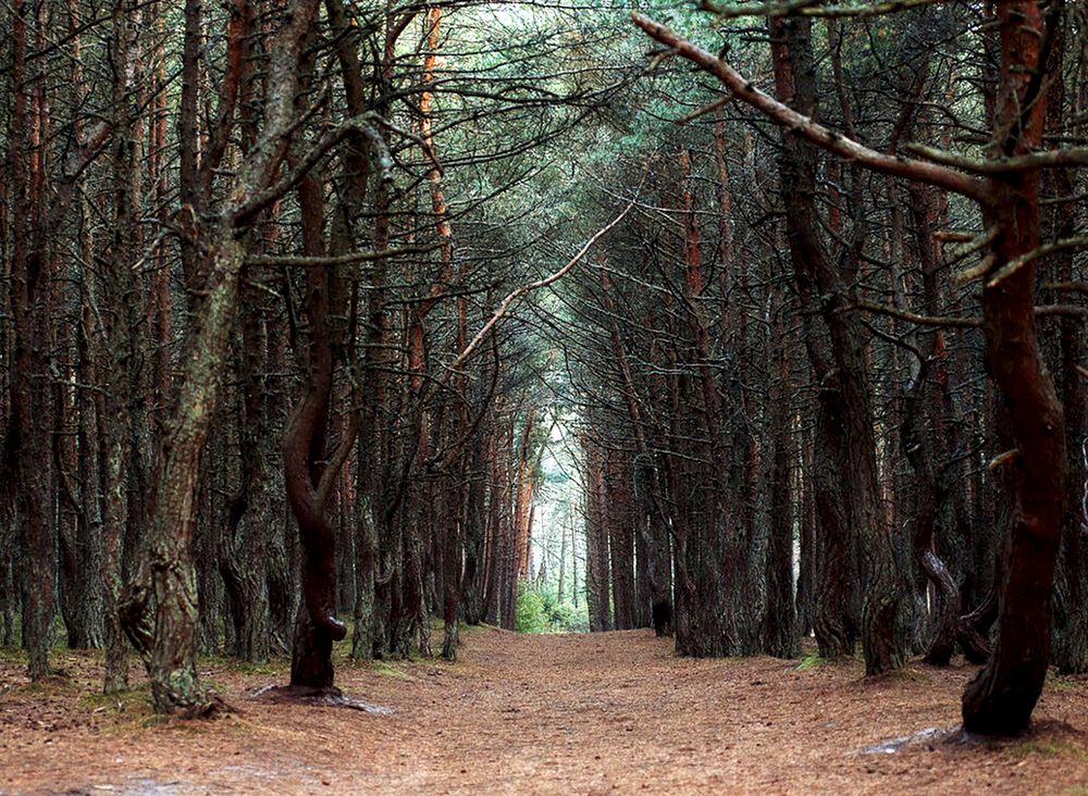 Photograph by Мария Новоселецкая