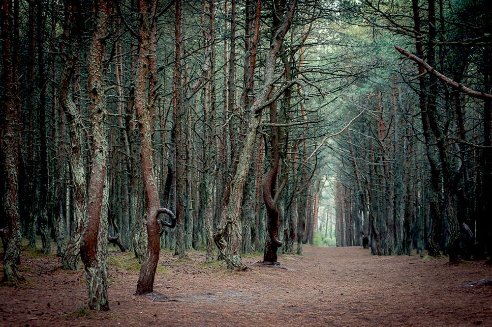 Photograph by Мария Новоселецкая