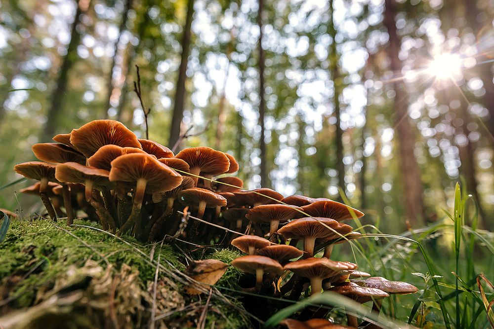 Photograph by Мария Новоселецкая