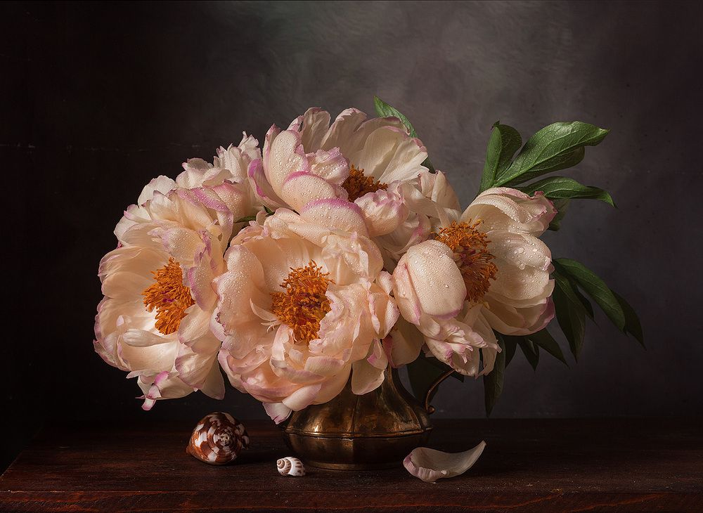 Фотография автора Алина Ланкина