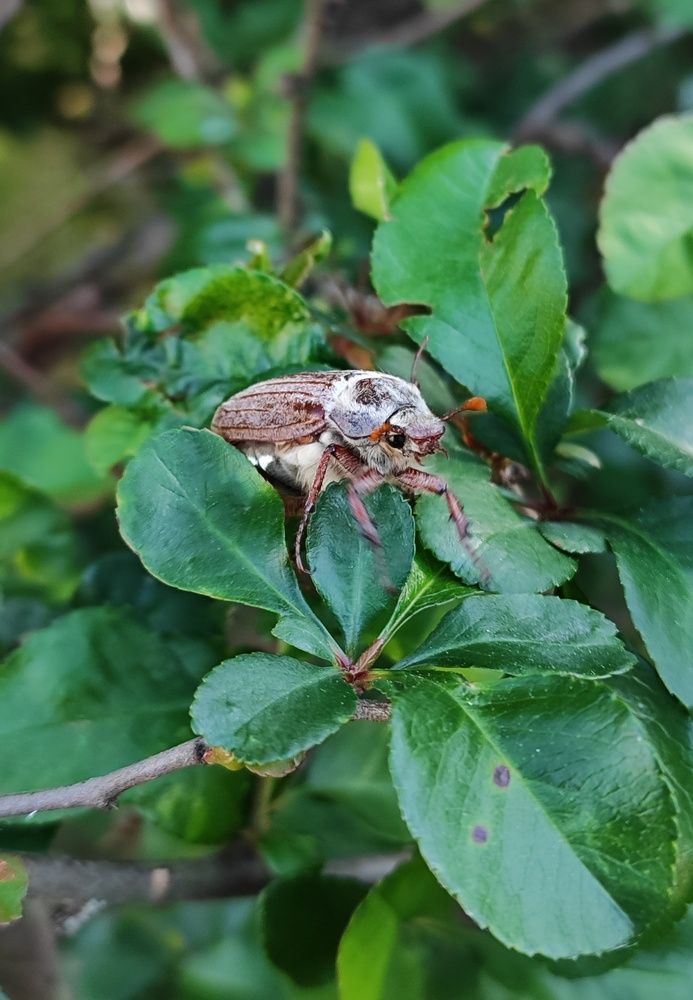 Photograph by Екатерина Борисовна Кузьмина