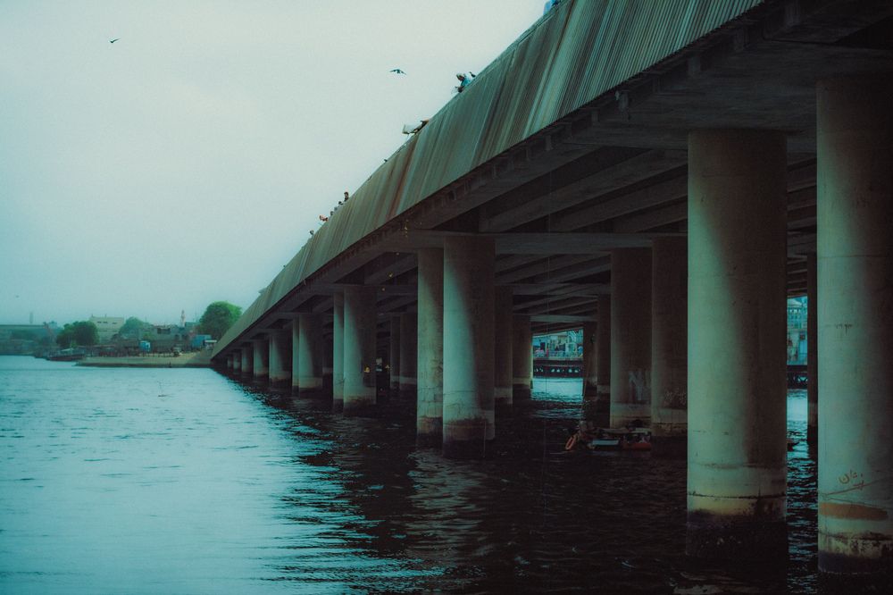 Free from Urbanization