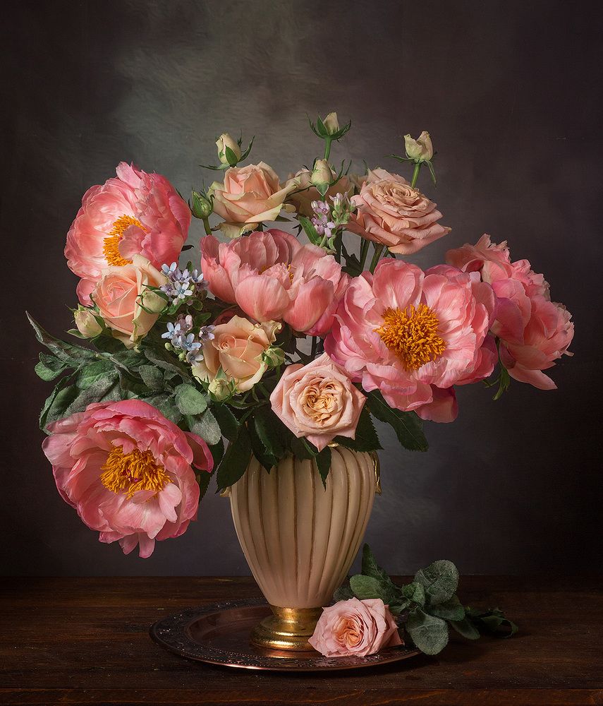 Фотография автора Алина Ланкина