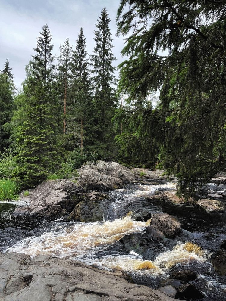 Photograph by Виктория Селютина