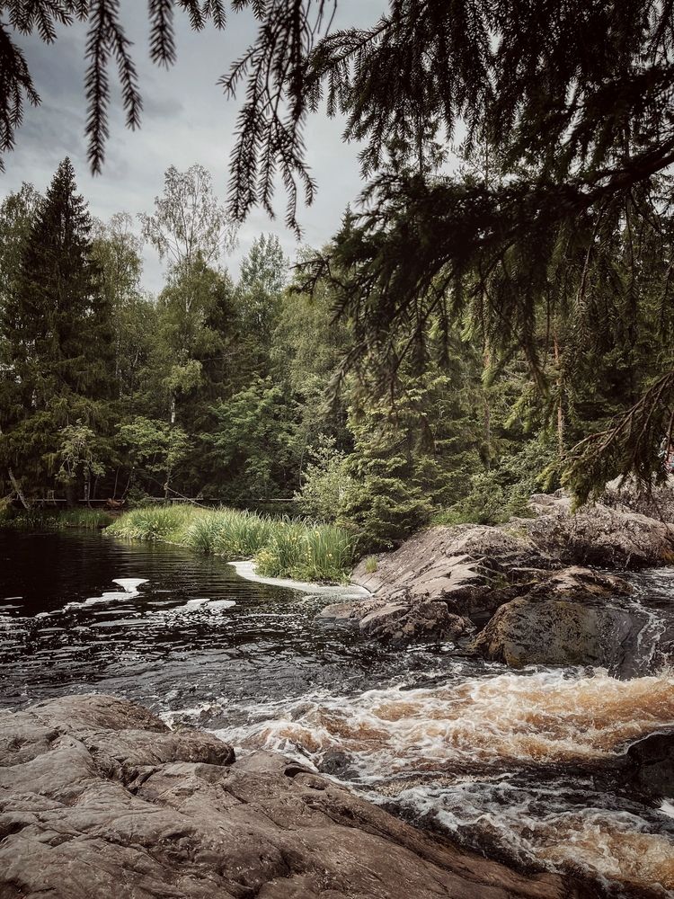 Photograph by Виктория Селютина