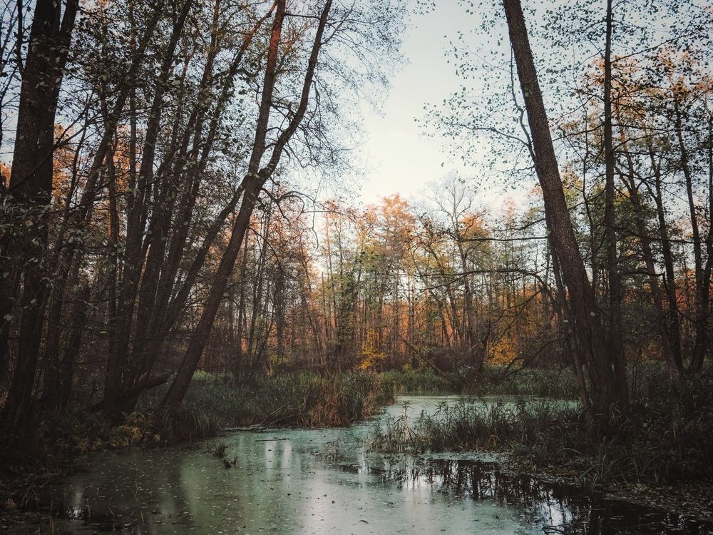 Photograph by Виктория Селютина