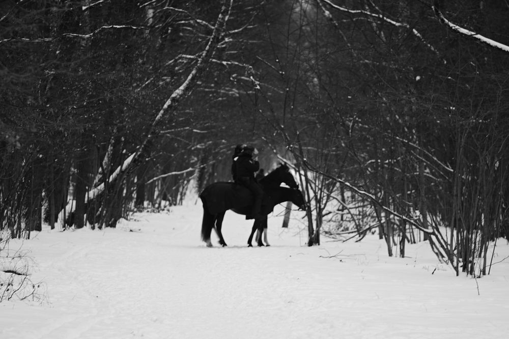 Photograph by Зубков Ярослав