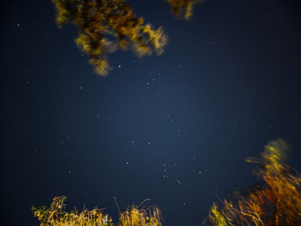 Фотография автора Ahmed Diab