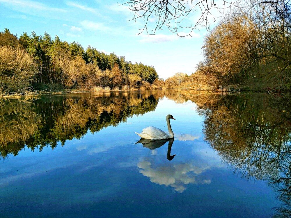 Photograph by Оксана Боднарчук