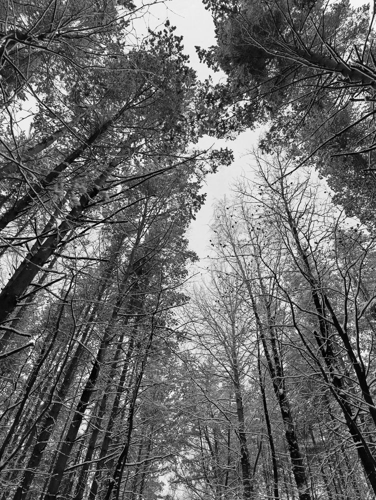 Photograph by Наталья Романова