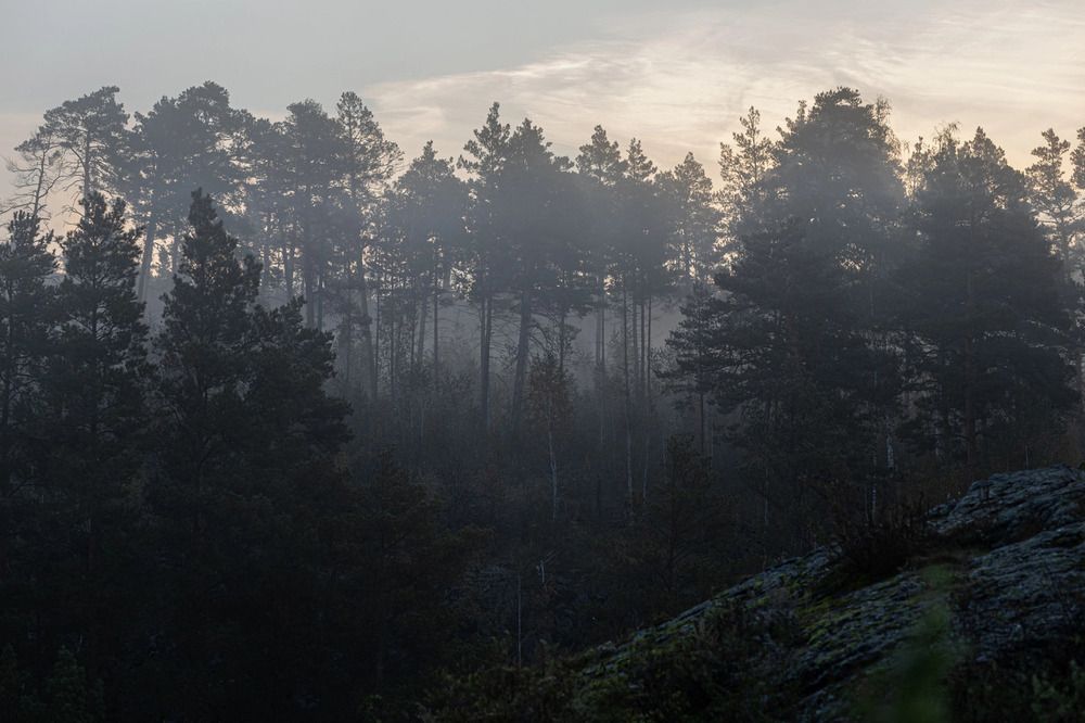 Photograph by Ксения Ясюченя