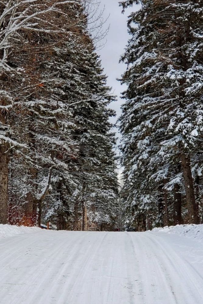 Фотография автора Al