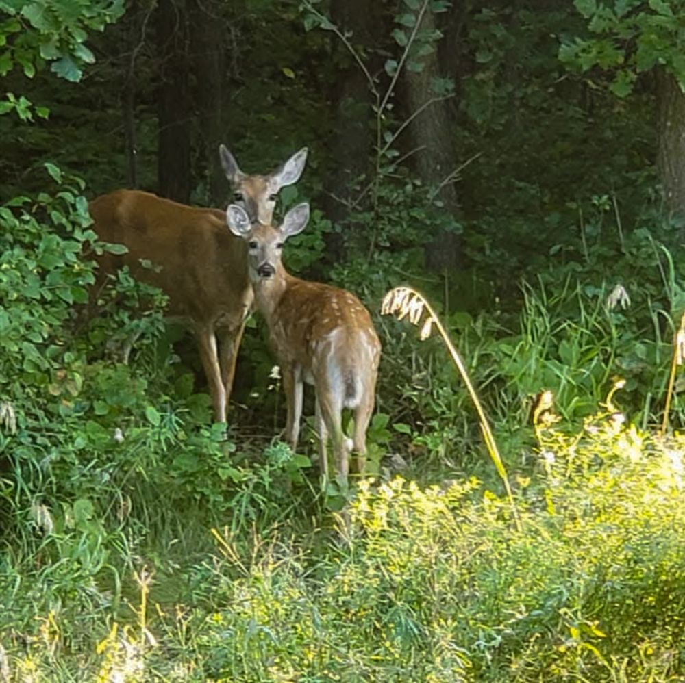 Фотография автора Al