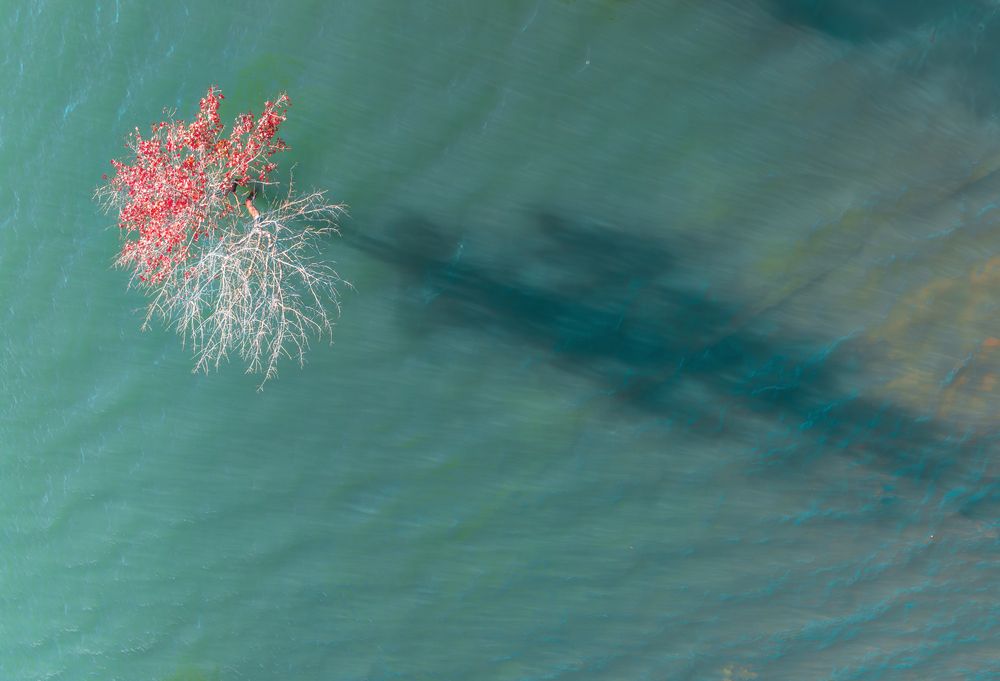 Photograph by Tran Phuong