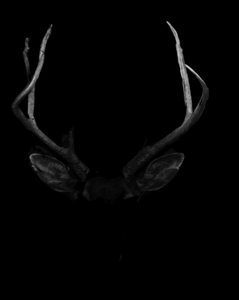 Фотография автора Rene Castillo