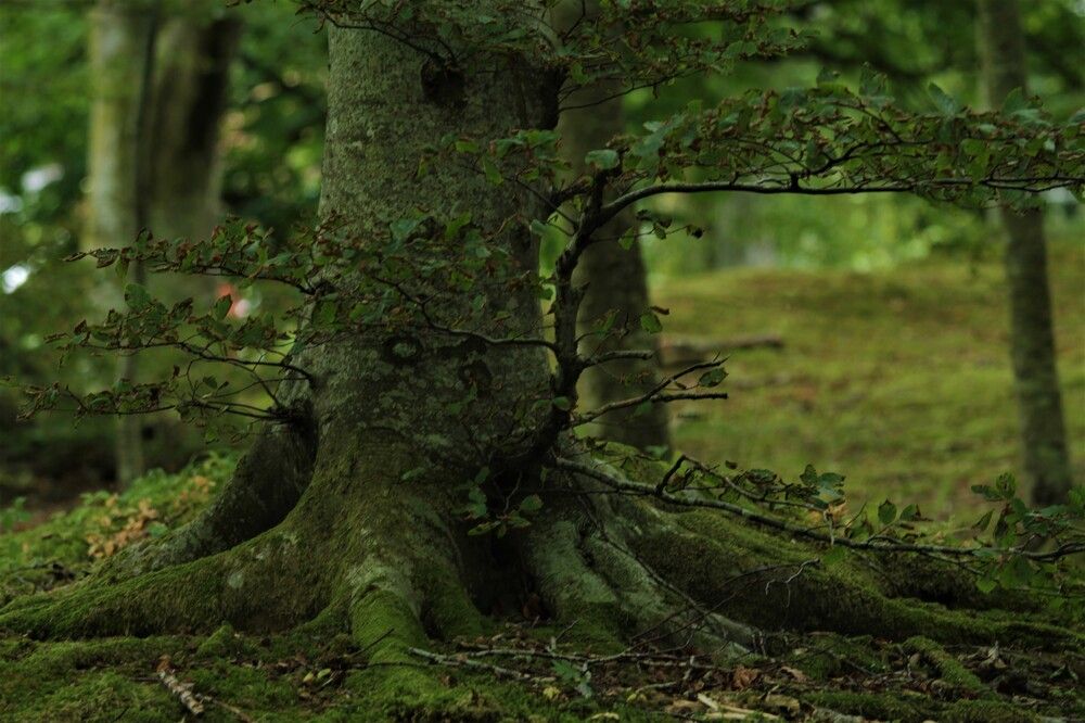 Photograph by Inese Firsova