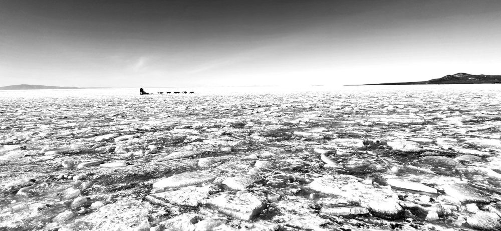 Фотография автора Виталий Шелехов