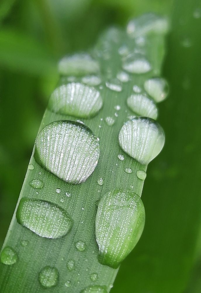Photograph by Евгения Шашина