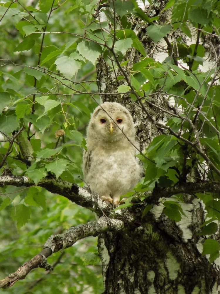 Photograph by Мария Гостева