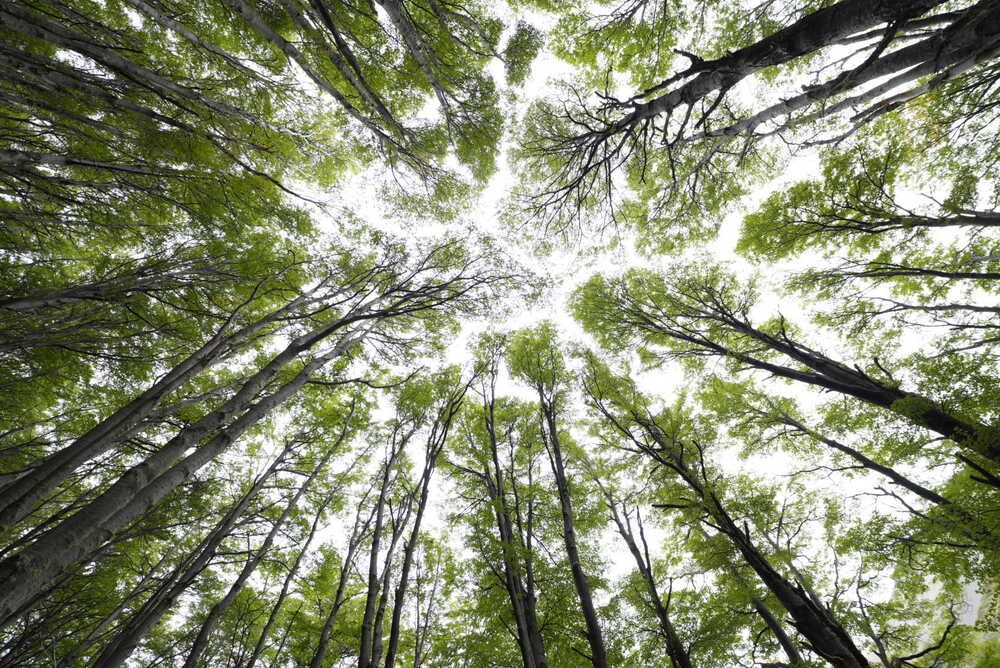 Photograph by Marcos Levy