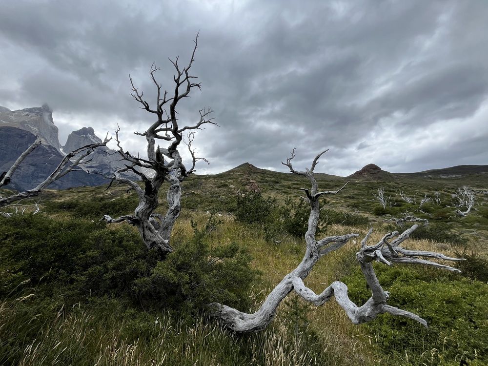 Photograph by Marcos Levy