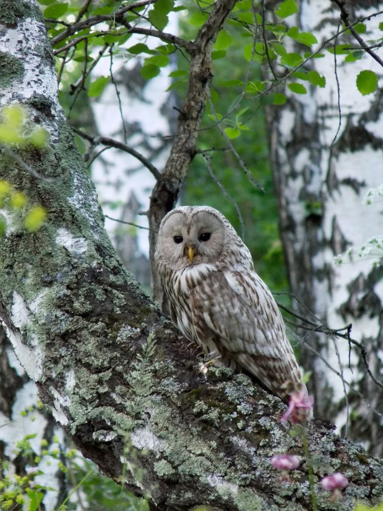 Photograph by Мария Гостева