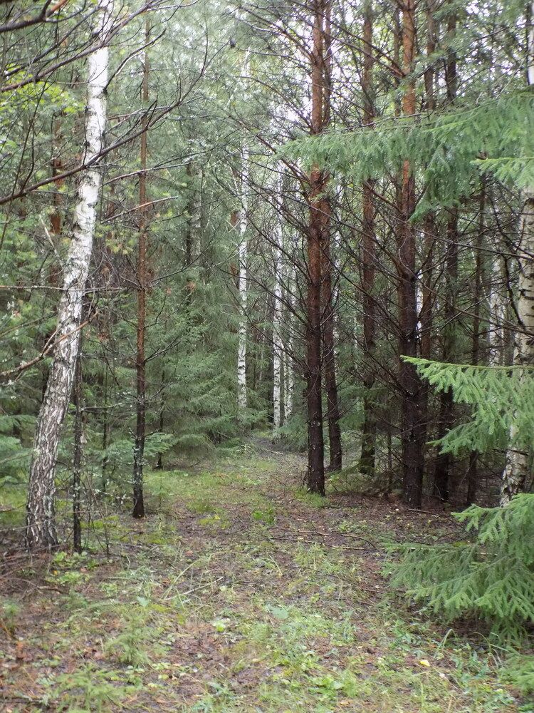 Photograph by Мария Гостева