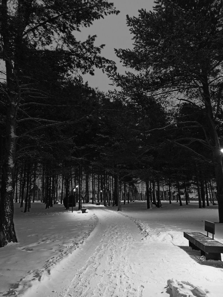 Фотография автора Юлия Сурина