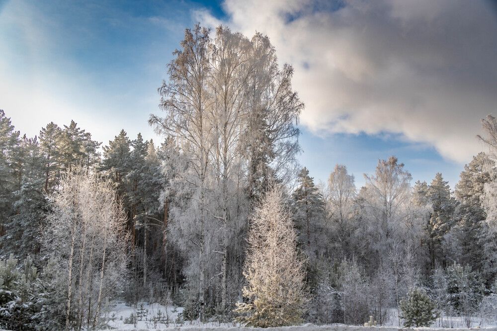 Photograph by Высотских Владимир