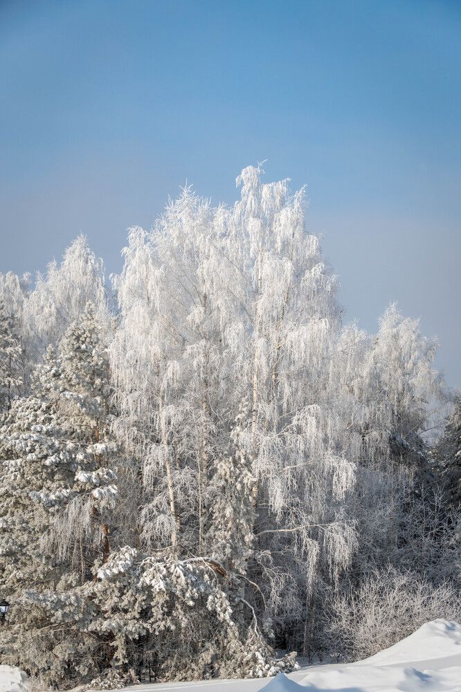 Photograph by Высотских Владимир