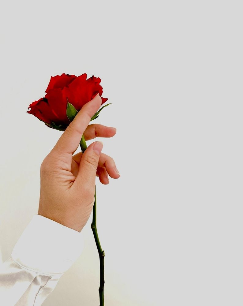 Photograph by Olessya Kim