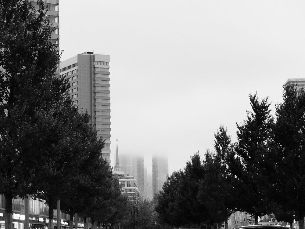 Photo #11822325
