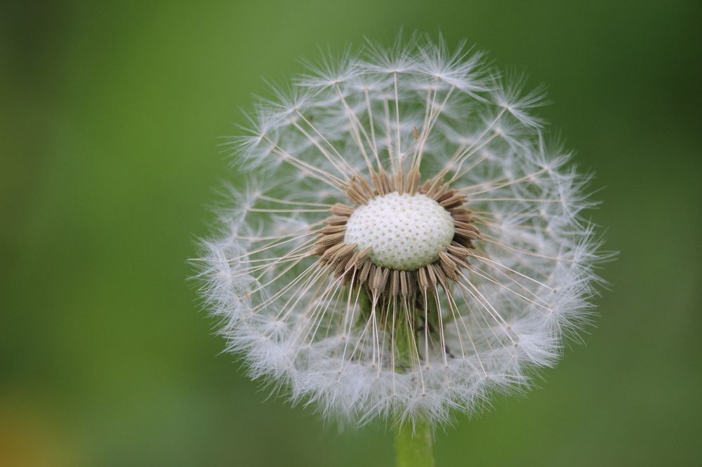 Photograph by Галина Мазур