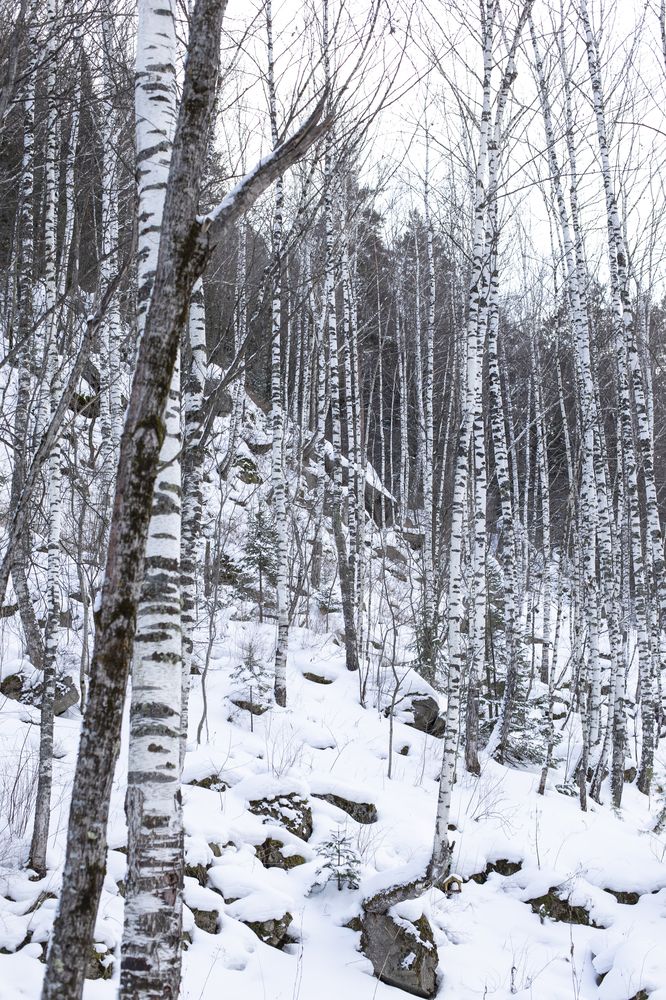 Photograph by Татьяна Шахматова