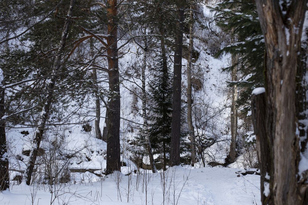 Photograph by Татьяна Шахматова