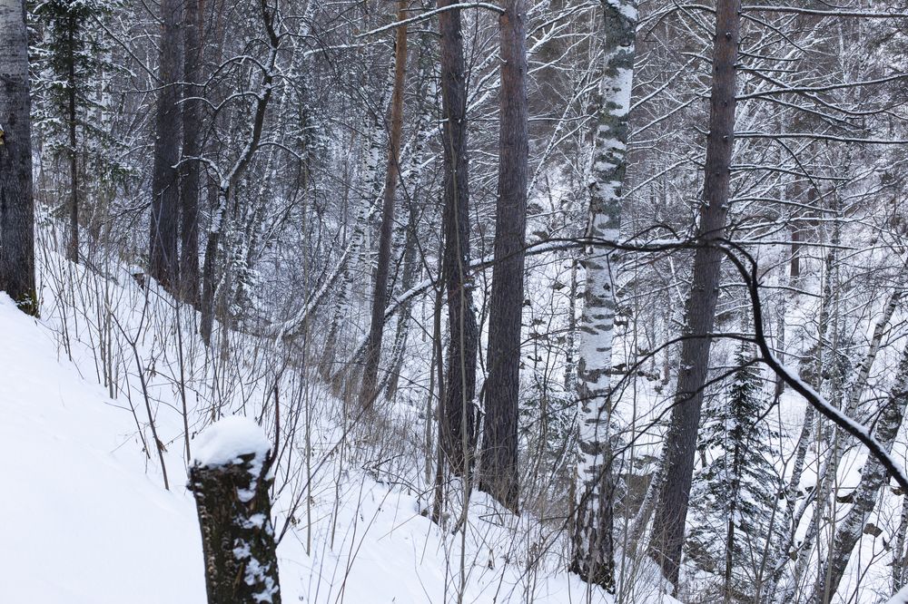 Photograph by Татьяна Шахматова